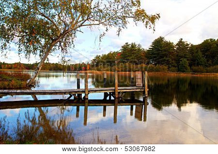 Dock Reflections