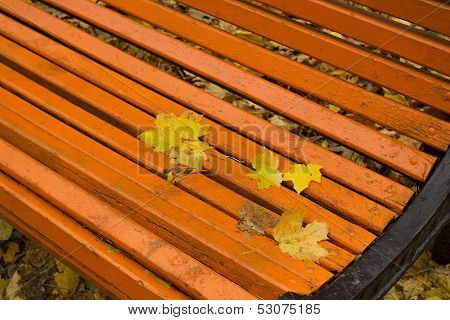 Autumn Leaves