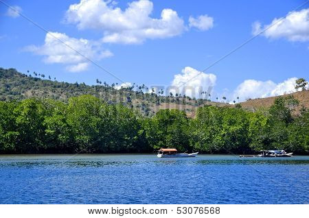 Boats at Komodo National Park