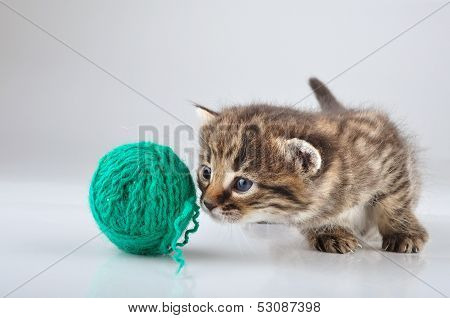 Little Kitten Playing With A Woolball