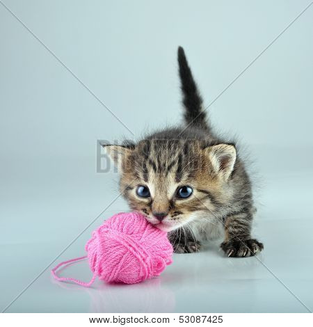 Funny Cute Little Kitten Playing With A Woolball