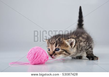 Little Kitten Playing With A Woolball