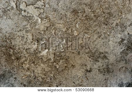 Stained Concrete