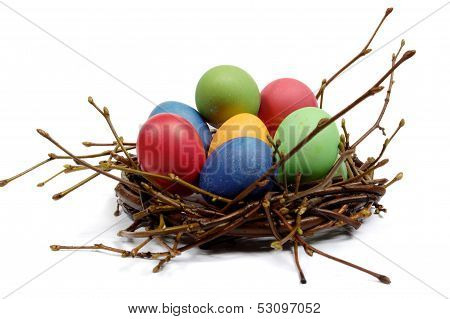 Colorful Easter eggs in a nest from branches on white background