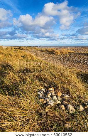 Blue Sky Summer Beach Sunset Landscape