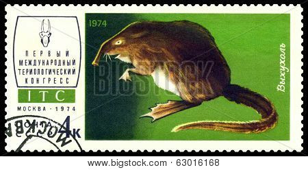 Vintage  Postage Stamp. Desman.
