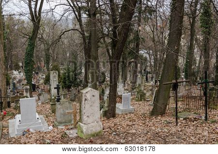 View On The Old And  Dark Graveyard