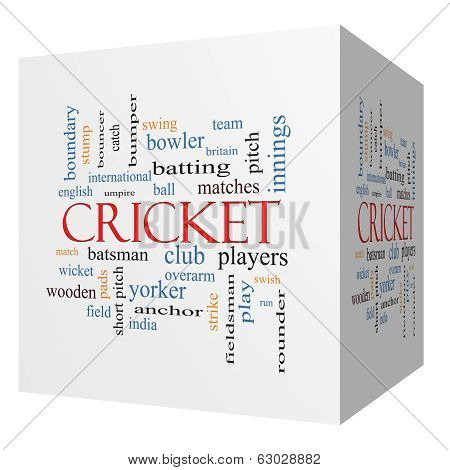 Cricket 3D Cube Word Cloud Concept