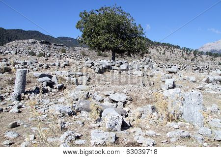 Columns And Ruins