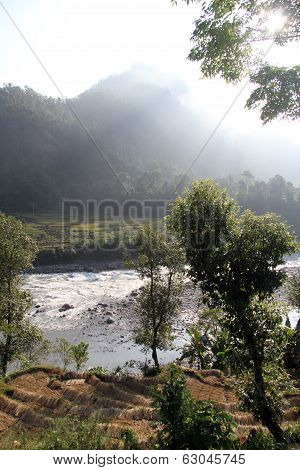 Rice And River