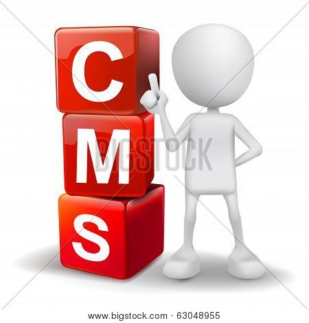 3D Illustration Of Person With Word Cms Cubes