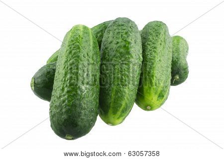 fresh and tasty cucumbers. isolated on white.