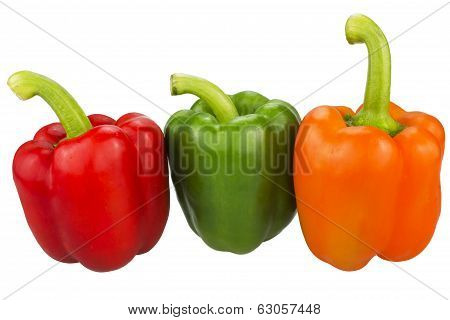 three bell peppers isolated on white
