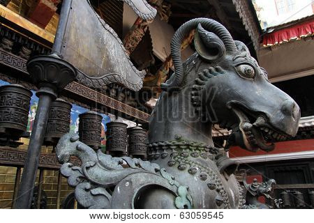 Head Of Horse