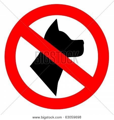 No dogs allowed sign