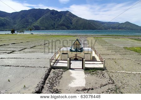 Grave And Field