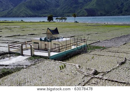 Grave On The Field