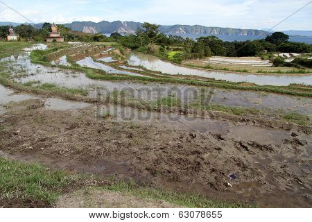 Graves And Terraces