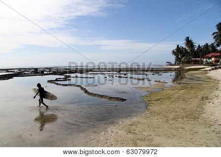 Serfer Walking On The Beach