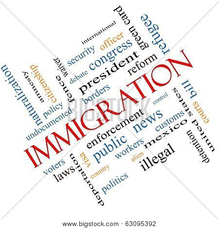 Immigration Word Cloud Concept Angled