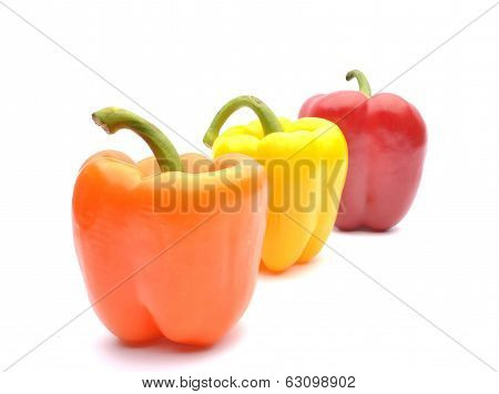 Colored Peppers