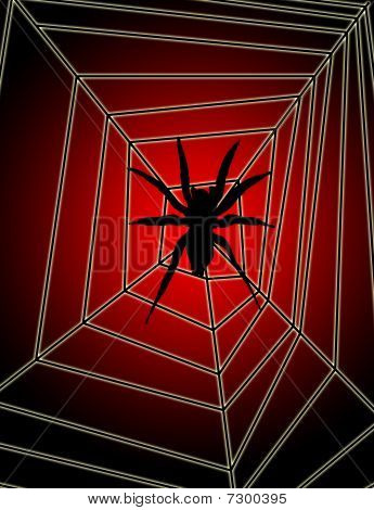 Örümcek web
