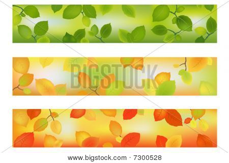 Tre stagione banner o Background.Vector