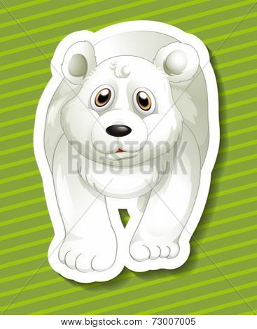 Illustration of a close up polar bear