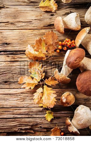 Ceps on wooden table, autumn harvest crop