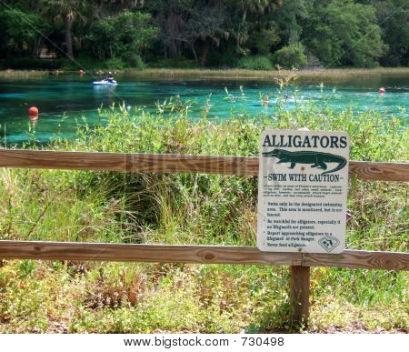 Gator foro