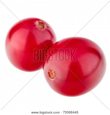 cranberry  isolated on white background cutout