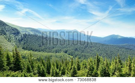 mountains covered trees and blue sky