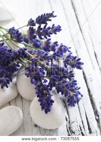 lavender on the white stones, spa