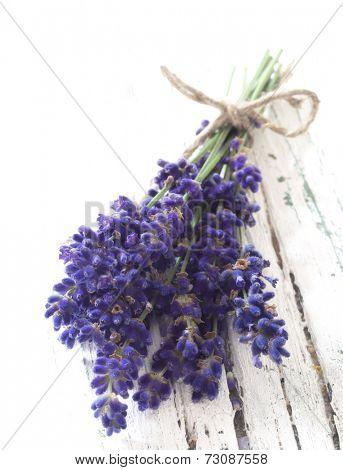 fresh lavender