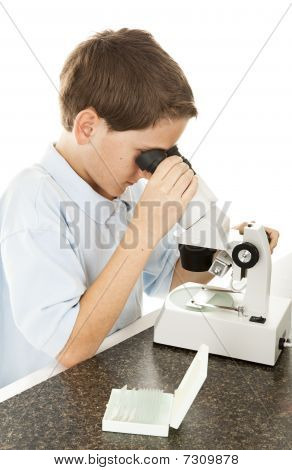 Boy Looking Through Microscope