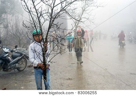 Chinese New Years decorations in Vietnam