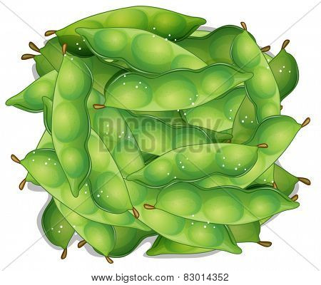 Illustration of a bunch of edamame