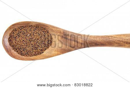 gluten free kaniwa grain on wooden spoon isolated on white