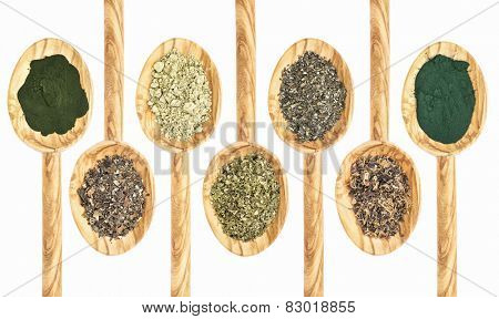 a collection of seaweed and algae dietary supplements on wooden spoons - chlorella, bladderwrack, kelp, sea lettuce, walame, Irish moss,  spirulina, (from left to right)