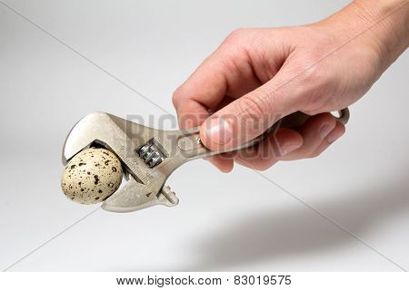 wrench ready to crush an egg