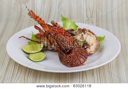 Spiny Lobster