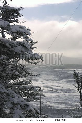 Winter Solace