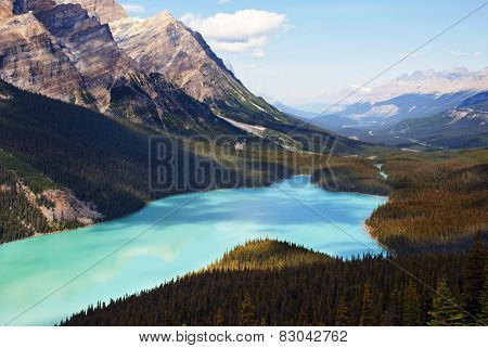 Peyto Lake Banff