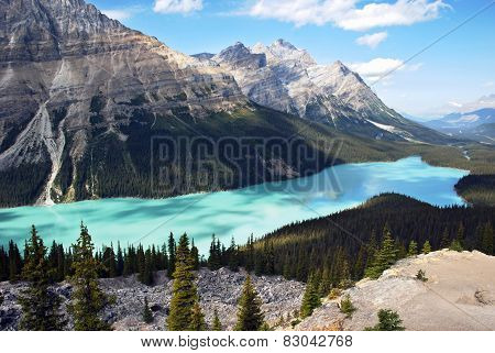 Peyto Lake Banff