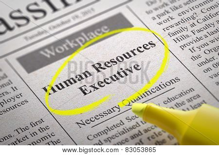Human Resources Executive Vacancy in Newspaper.