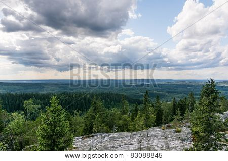 Cloudy skies and green forests