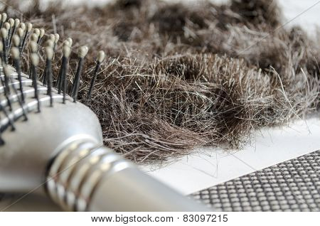 Hairbrush With Hair