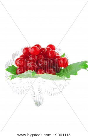 Bild von Wild Berry