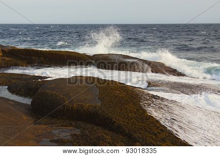 Rocky Shore.