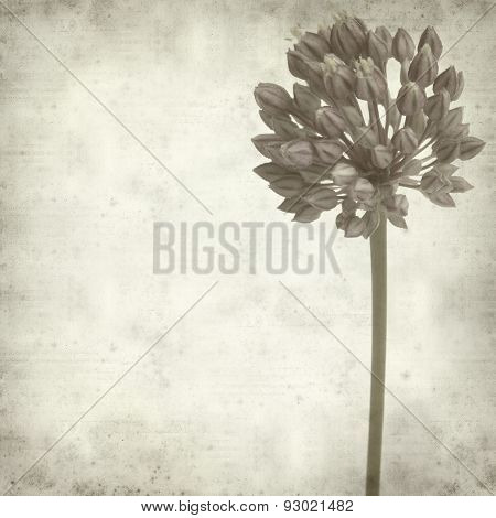 Textured Old Paper Background